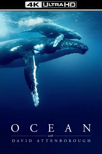 Plakat do filmu "David Attenborough Świat oceanów" #783600