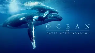 David Attenborough Świat oceanów