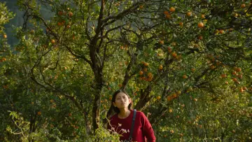 Zasłona do filmu "Shape of Momo: छोरा जस्तै" #820002
