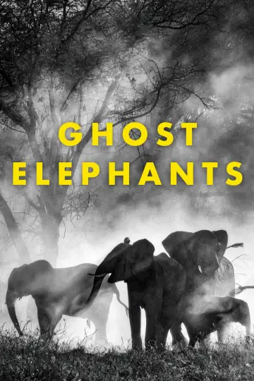 Plakat do filmu "Ghost Elephants" #670884