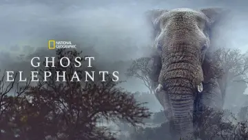 Zasłona do filmu "Ghost Elephants" #764750