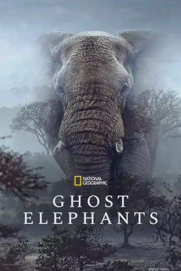 Plakat do filmu "Ghost Elephants" #764755