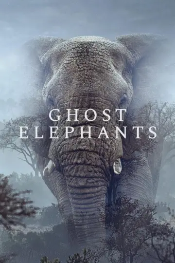 Plakat do filmu "Ghost Elephants" #764757