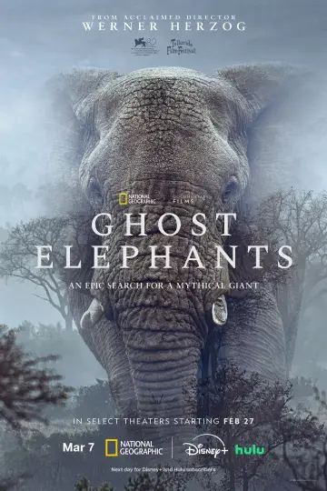 Plakat do filmu "Ghost Elephants" #764759