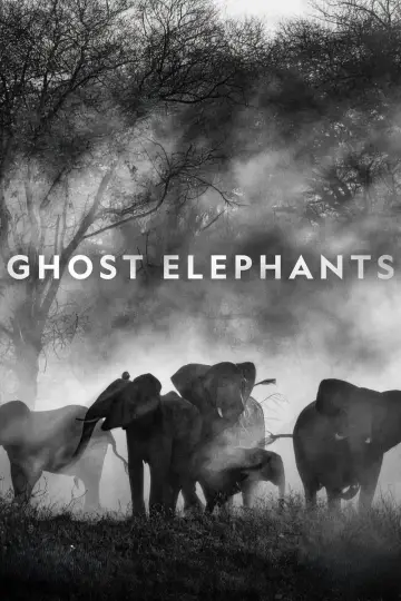 Plakat do filmu "Ghost Elephants" #764761
