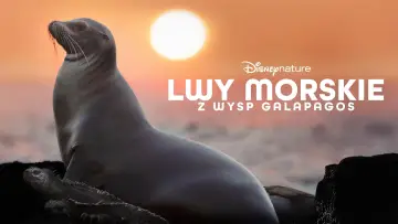 Zasłona do filmu "Lwy morskie z wysp Galapagos" #719362