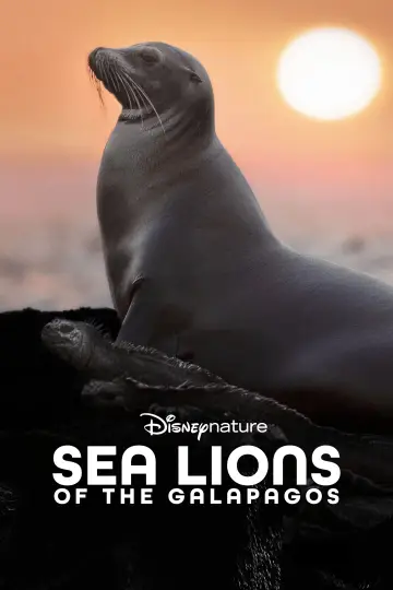 Plakat do filmu "Lwy morskie z wysp Galapagos" #719373