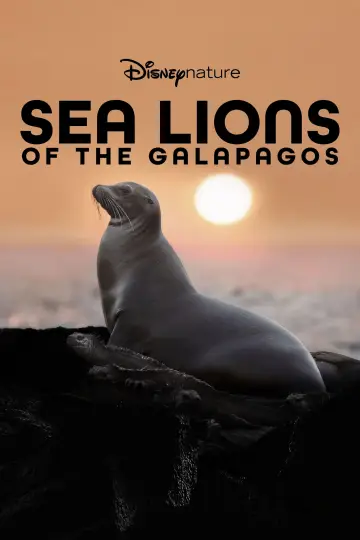 Plakat do filmu "Lwy morskie z wysp Galapagos" #719375