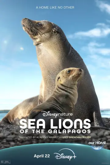Plakat do filmu "Lwy morskie z wysp Galapagos" #719376