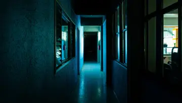 Zasłona do filmu "LIMINAL" #974752