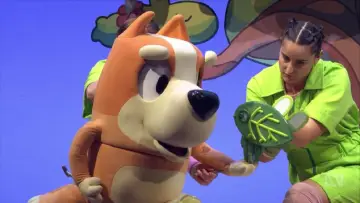 Zasłona do filmu "Bluey