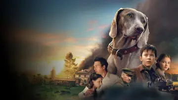 Zasłona do filmu "Каруза" #1143564