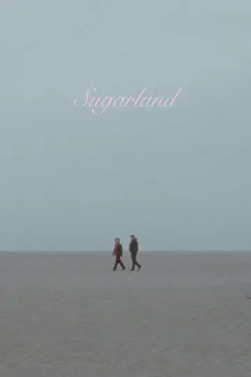 Plakat do filmu "Sugarland" #697809
