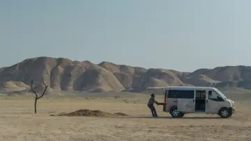 Zasłona do filmu "To był zwykły przypadek" #1800036