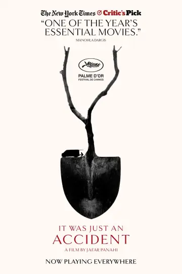 Plakat do filmu "To był zwykły przypadek" #509112
