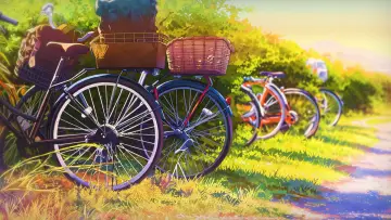 Zasłona do filmu "Bliźniaczki Hinahima" #1183427