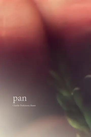 Plakat do filmu "Pan" #981794