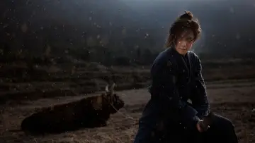 Zasłona do filmu "江湖通缉令" #791206