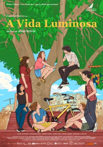 Plakat do filmu "A Vida Luminosa" #879568