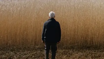 Zasłona do filmu "Rietland" #790220
