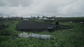 Zasłona do filmu "Militantropos" #1882428