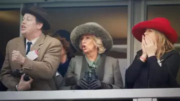 Zasłona do filmu "Camilla, la reine qui ne voulait pas être reine" #940973