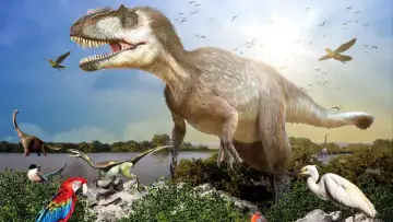 Zasłona do filmu "La fabuleuse histoire des oiseaux, des dinosaures parmi nous" #1898437