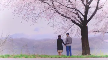 Zasłona do filmu "동그랑땡" #917625