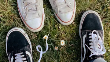 Zasłona do filmu "Heartstopper Forever" #1154351