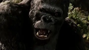 Zasłona do filmu "« King Kong » : le cœur des ténèbres" #1195162
