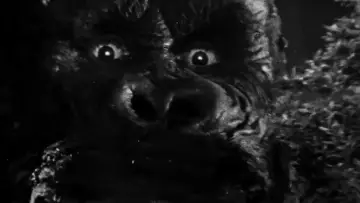 Zasłona do filmu "« King Kong » : le cœur des ténèbres" #1195166