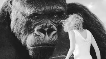 Zasłona do filmu "« King Kong » : le cœur des ténèbres" #1195168