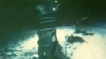 Zasłona do filmu "Haray" #1189443