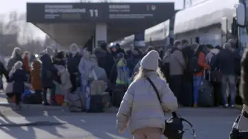 Zasłona do filmu "Solidarity" #769910