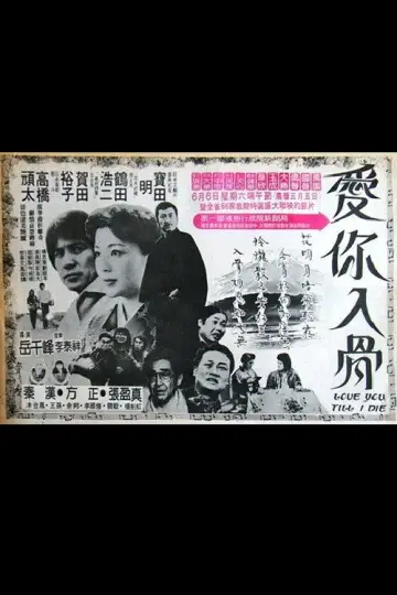 爱你入骨 plakat