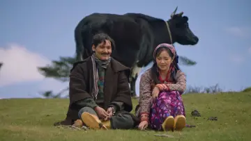 Zasłona do filmu "ऊनको स्वीटर" #1638408