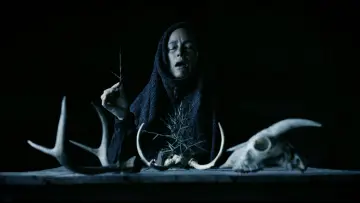 Zasłona do filmu "Matka much" #551121
