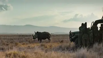 Zasłona do filmu "Rhino" #923510