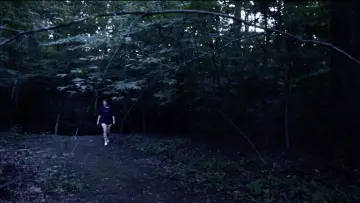 Zasłona do filmu "pistanthrophobia" #1151044
