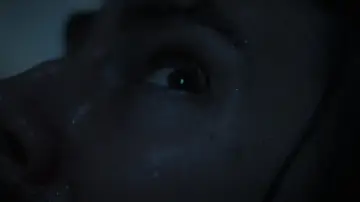 Zasłona do filmu "The Dysphoria" #859735