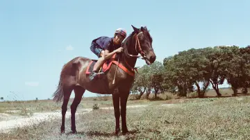 Zasłona do filmu "Joqueta" #1652158