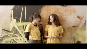 Zasłona do filmu "Crisálidas" #967311