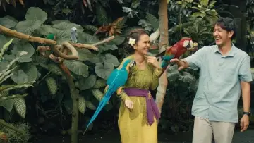 Zasłona do filmu "Paris in Bali" #1184900