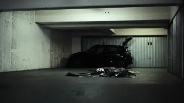 Zasłona do filmu "L