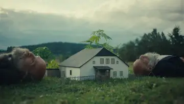 Zasłona do filmu "Better Go Mad in the Wild" #1524338