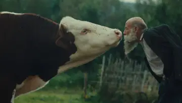 Zasłona do filmu "Better Go Mad in the Wild" #1524339