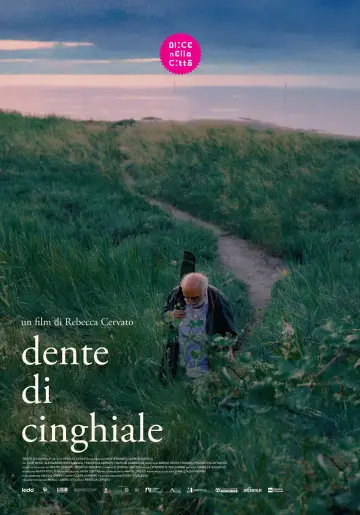 Dente di cinghiale plakat