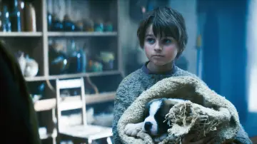 Zasłona do filmu "Mein Freund Barry" #543520