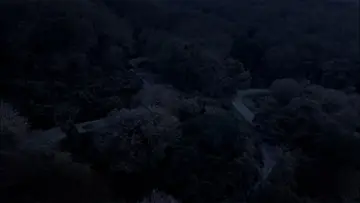 Zasłona do filmu "Alas Roban" #534045