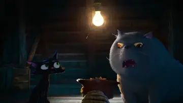 Zasłona do filmu "Gatto" #910311